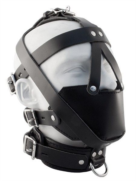 Mister B Premium Muzzle Head Harness