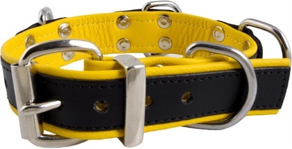 Slave Collar 4 D-Rings (Yellow)