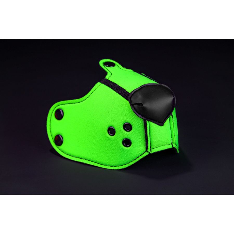 Mr-S-Leather Mr. S Leather K9 Muzzle Lime